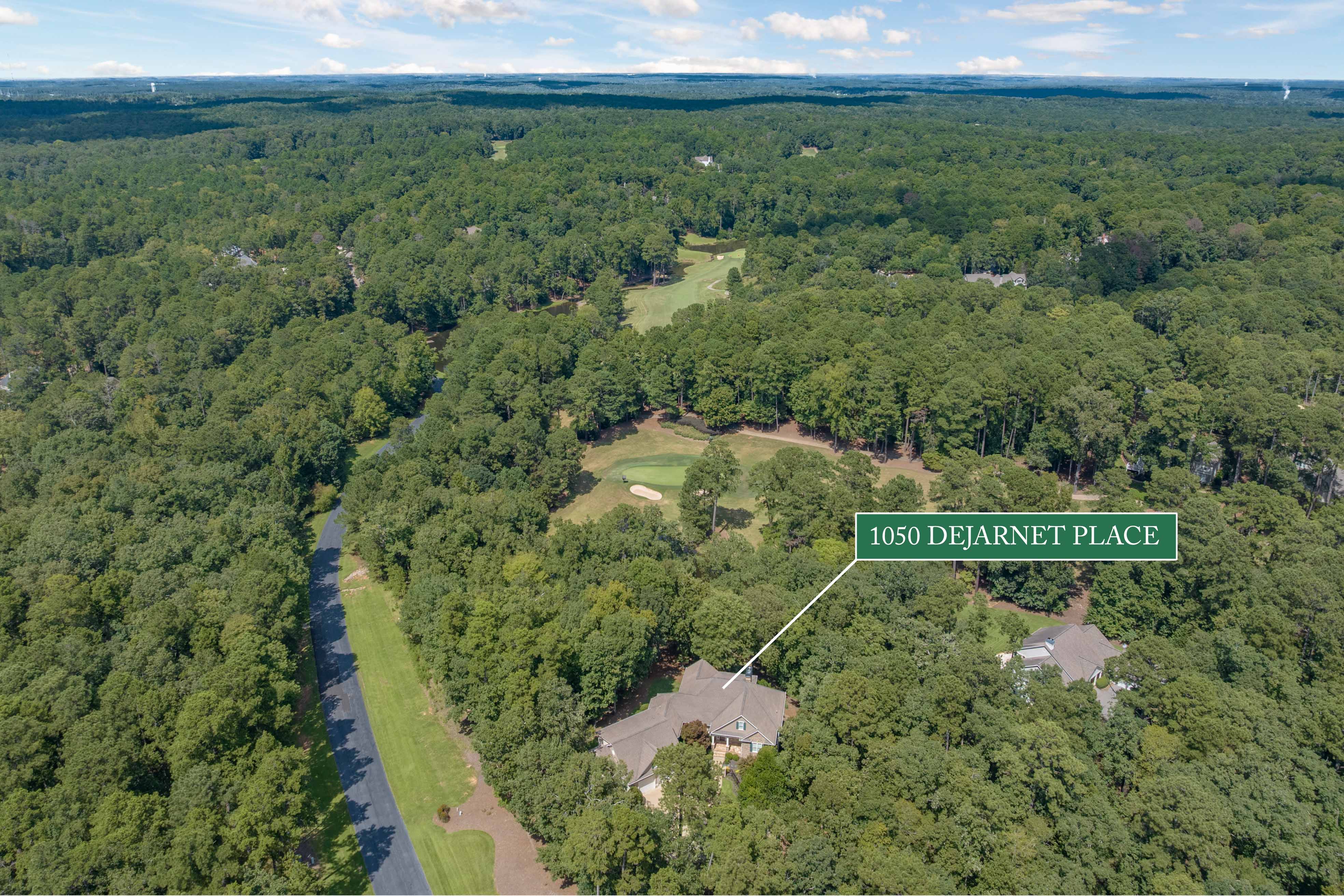 1050 Dejarnet Place image 62